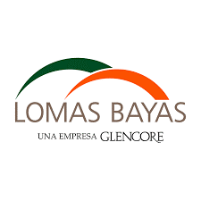 LOMAS BAYAS