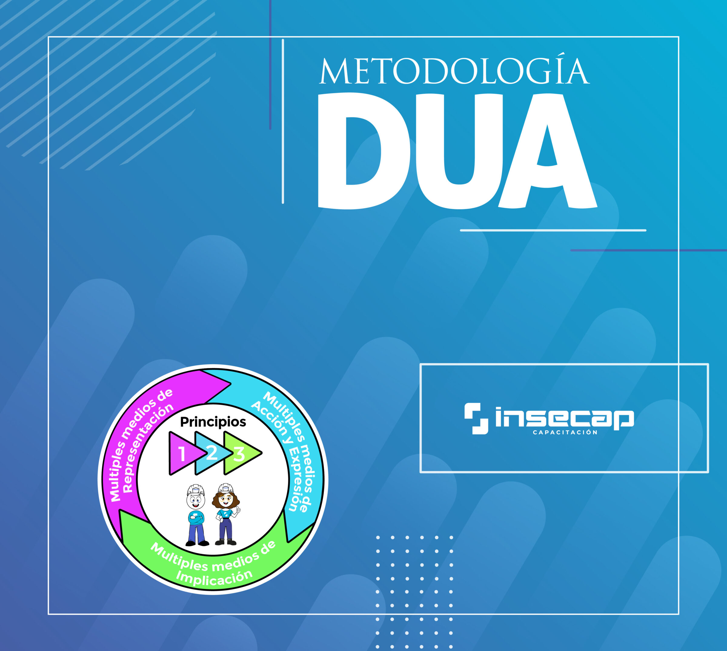 DUA-Web_Mesa de trabajo 1